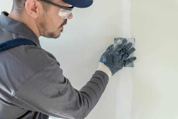 Best Water-Damaged Drywall Repair  in Elmore, OH